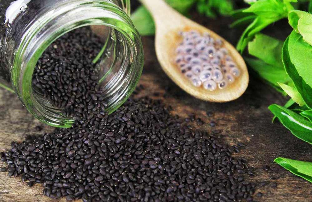 بذر ریحان اعلاء  - 2 کیلوگرم