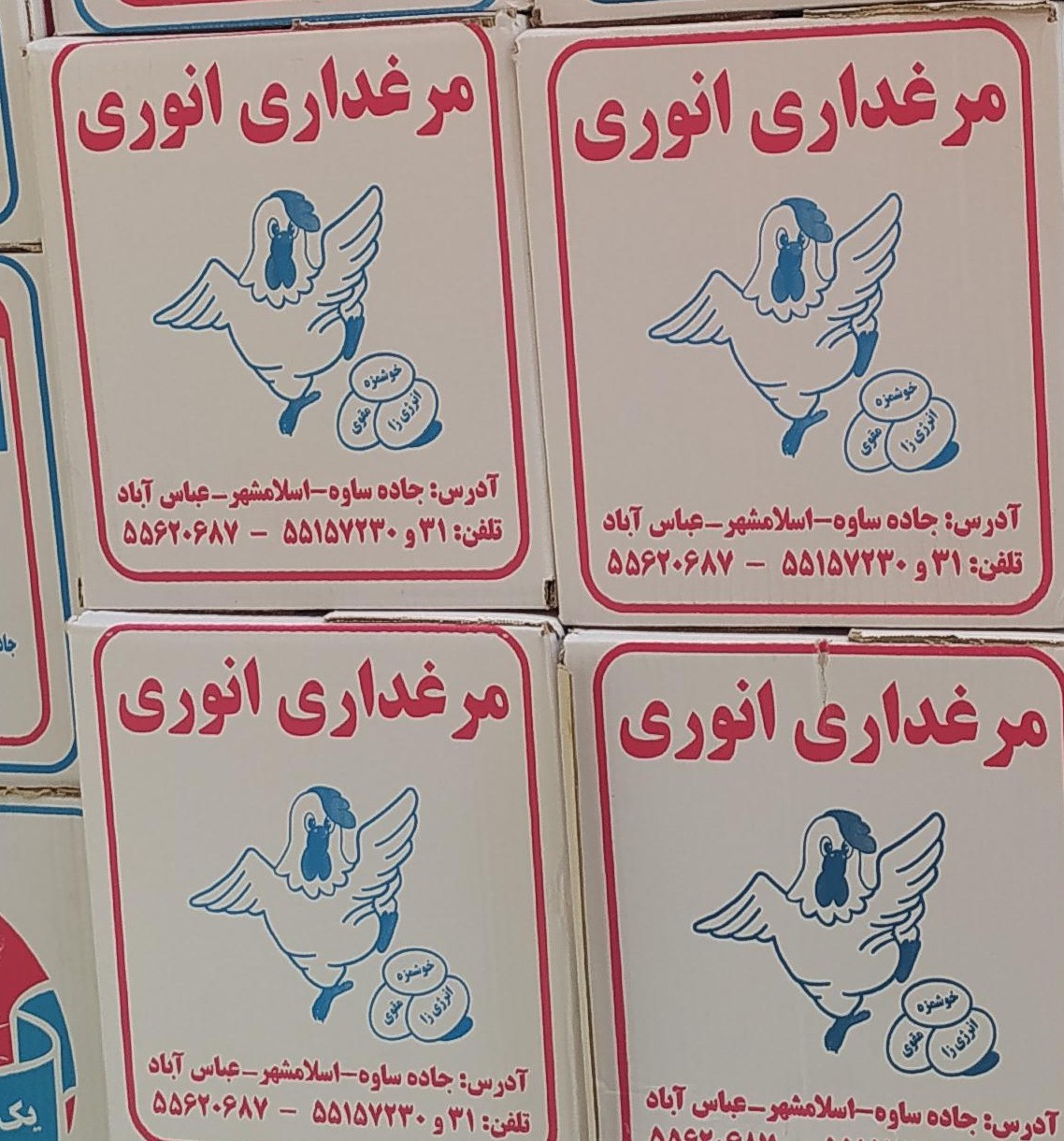 تخم مرغ کارتنی انوری 180 عدد 6 شانه 30 عددی