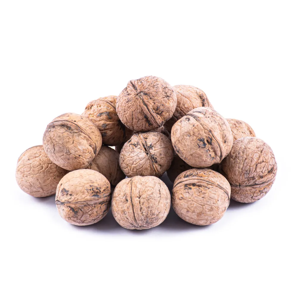 گردو با پوست ایرانی - 5 کیلوگرم