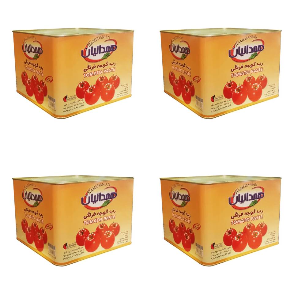 کنسرو رب گوجه فرنگی همدانیان - 9 کیلوگرمی