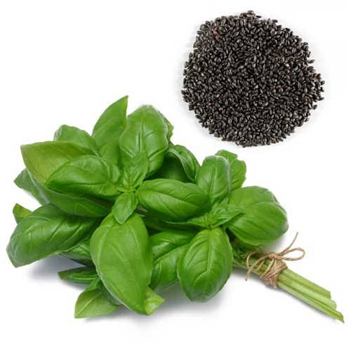 بذر ریحان ( 1 کیلوگرم )
