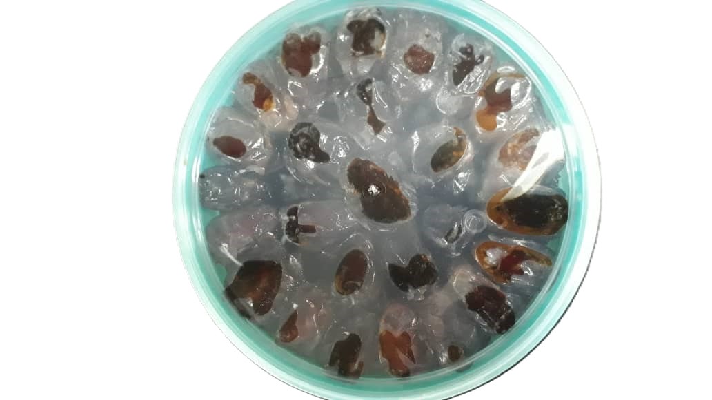 خرما کبکاب (ظرفی) نخل بی نظیر - 900 گرم